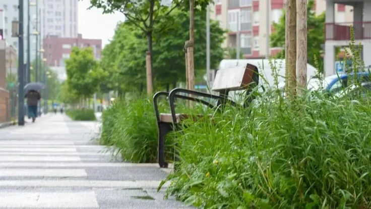 Los jardines y parques de Vitoria-Gasteiz descuidados por la huelga de jardineros