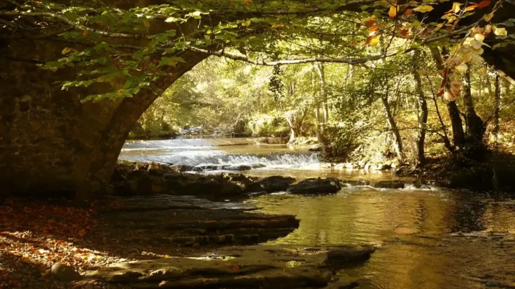 Parque Natural de Gorbeia